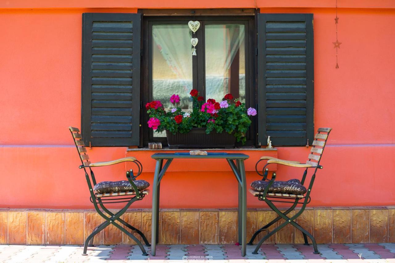 Sunset Cottage Braşov Buitenkant foto